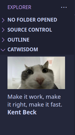 CatWisdom